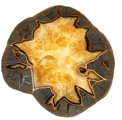 Septarian Stone: Unveiling the Enchanting Gem of Transformation