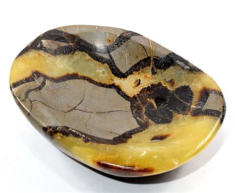 Septarian Stones: A Holistic Beacon for Growth and Harmony