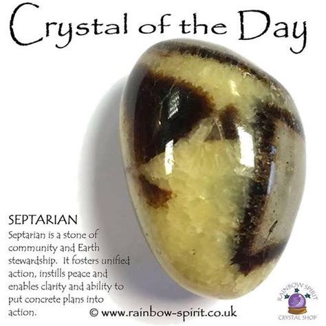 Septarian Stones: The Mystical Gems of Transformation