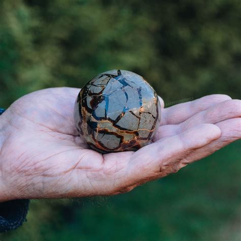 Septarian Stones: The Wisdom Keepers of Ancient Times