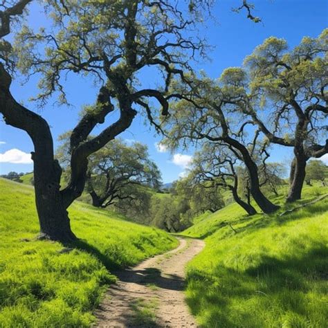 Serpentine Paths: A Stroll Through Nature's Embrace