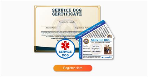 Service Dog Certification Online: Everything You Need to Know