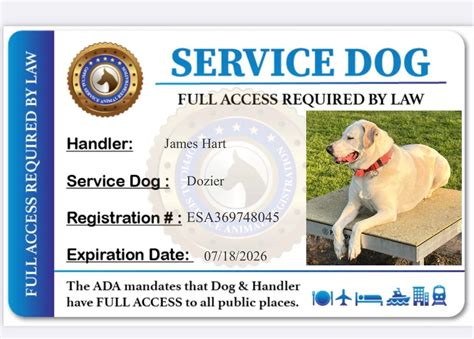 Service Dog Registration Free: Comprehensive Guide for 10,000+ Individuals