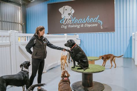 Service Quality Centre: Your Secret Weapon to Unleash Dog Training Excellence