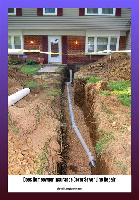 Sewer Line Insurance Coverage: 10 Key Points Homeowners Must Know