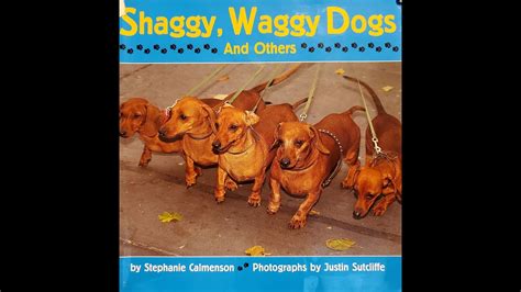 Shaggy Dogs Waggy Dogs