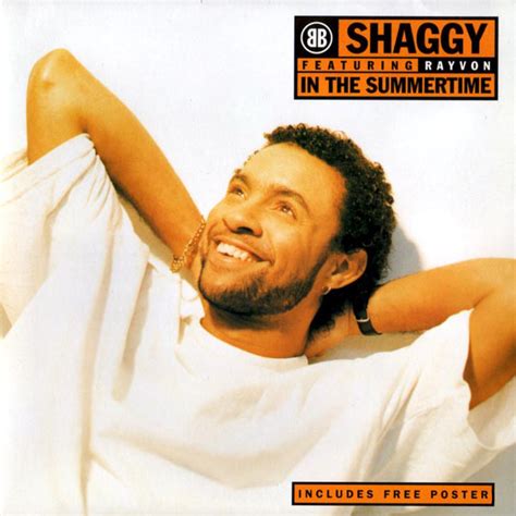 Shaggy in the Summertime Album Cover: A Deeper Dive