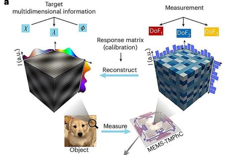 Shaped Crystals: A New Frontier in Crystal Technology