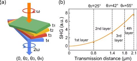 Shaped Crystals: The Next Generation of Optical Technology