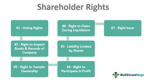 Shareholders Influence a Company by Exercising Various Rights