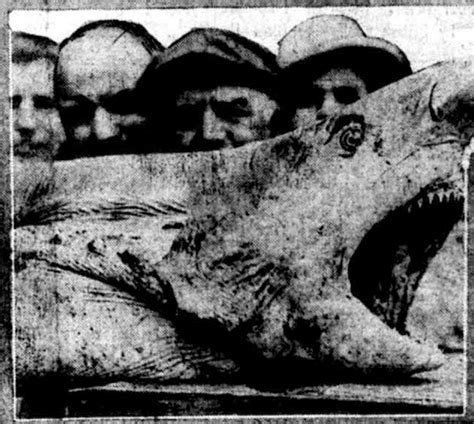 Shark Attack in New Jersey, 1916: A Harrowing Tale of Survival