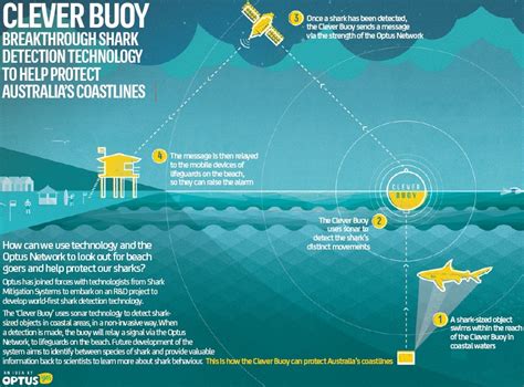 Shark PowerDetect: The Ultimate Guide to Advanced Shark Detection Technology