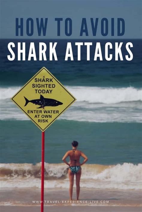 Sharkbait, Ooh Haha: A Comprehensive Guide to Understanding and Avoiding Shark Attacks