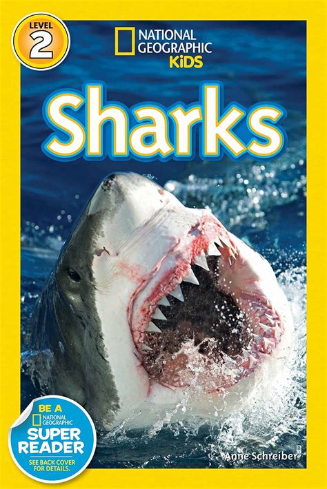 Sharks A Book About Sharks For Kids Fun Facts and Beautiful Sharks Picture Book