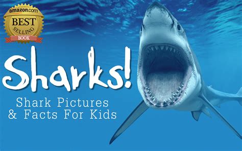 Sharks A Book About Sharks For Kids Fun Facts and Beautiful Sharks Picture Book