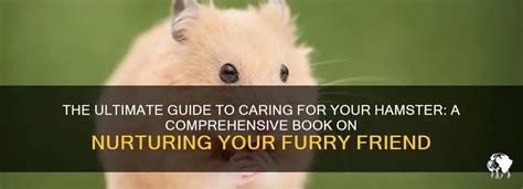 Shaved Hamsters: A Comprehensive Guide to Understanding and Caring for Your Furless Furry Friend