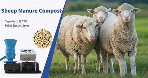 Sheep Dung Compost Machine: 10 Ways to Turn Manure into Gold