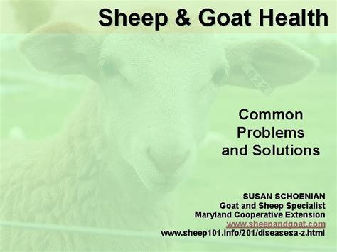 Sheep Goat Health Common Problems And Solutions Rossskb Kindle Editon