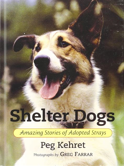 Shelter Dogs Amazing Stories of Adopted Strays Doc