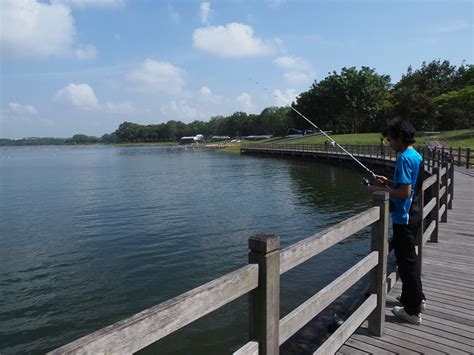 Shenton Bedok Reservoir: A Haven for Nature Lovers and Outdoor Enthusiasts