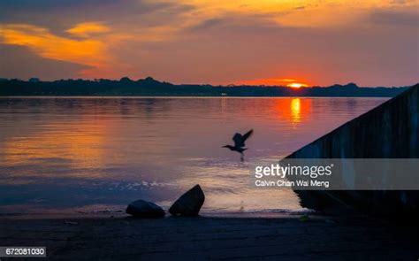 Shenton Bedok Reservoir: A Haven for Wildlife and Outdoor Enthusiasts