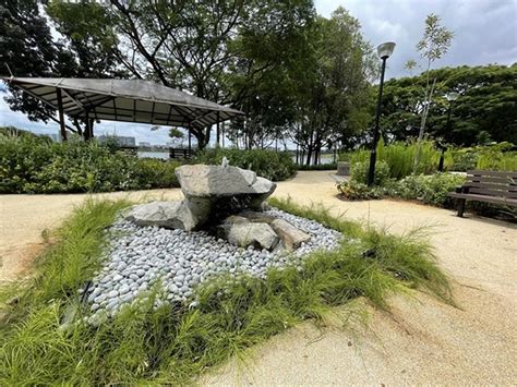 Shenton Bedok Reservoir: A Hidden Gem for Nature Enthusiasts and Outdoor Adventurers