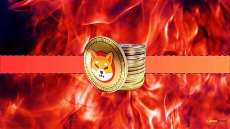 Shib Burn: The Ultimate Solution for Maintaining SHIB's Value