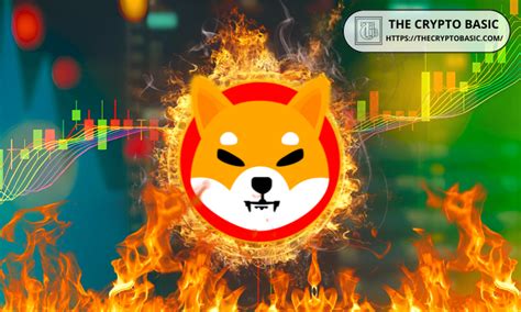 Shib Burn Twitter: Uncovering the Community's Path to Lowering Supply