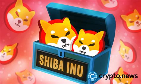 Shib Lingo 101: Unleash the Power of Your Shiba Inu Slang