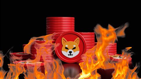 Shiba Burn Portal: A Comprehensive Guide to Reducing SHIB Token Supply