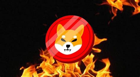 Shiba Burn Portal: Incinerating Billions of SHIB Tokens to Fuel Future Growth