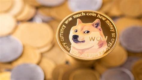 Shiba Doge Price: A Comprehensive Guide to the Cryptocurrency's Trajectory