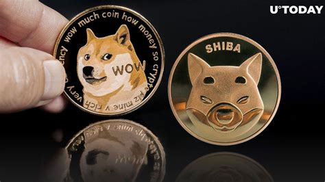 Shiba Inu: The Rise of the Dogecoin Rival