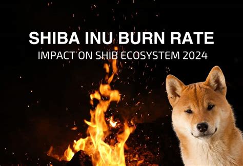 Shiba Inu Burn News: Latest Updates and Developments