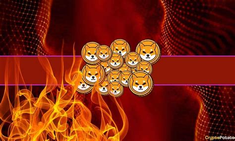 Shiba Inu Burning: A Comprehensive Update on the Latest Developments