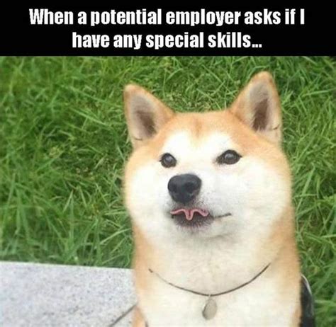 Shiba Inu Dog Meme for Sale: Ultimate Guide to 247,191 Popular Shiba Inu Memes