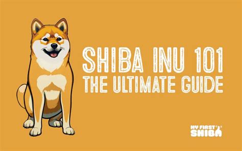 Shiba MEMU: The Ultimate Guide