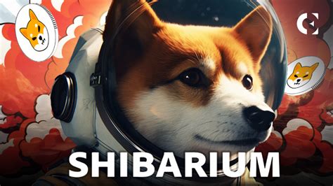 Shibaswap App: A Comprehensive Guide to the Shiba Inu Ecosystem