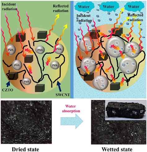 Shielding and Absorption