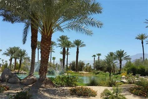 Shields Date Garden: A Desert Oasis in Indio