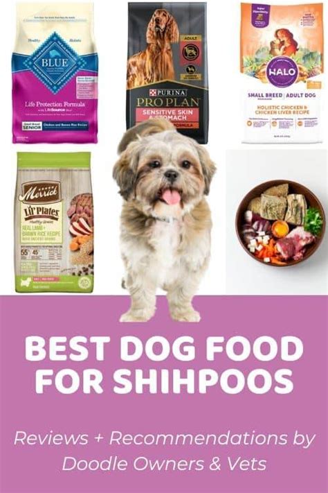 Shih Poo Dog Food: The Ultimate Guide to Optimal Nutrition for Your Precious Pet