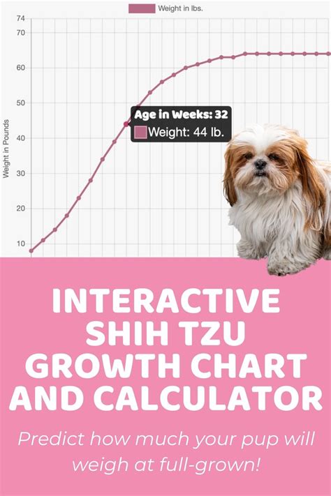 Shih Tzu Growth Chart