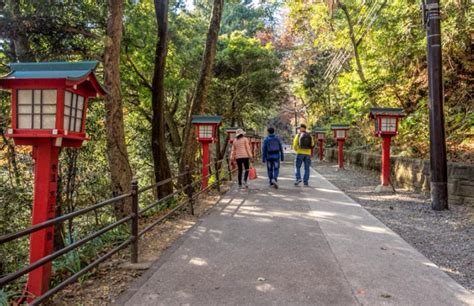 Shinobukocho: 10,000+ Ways to Experience Tokyo's Hidden Gem