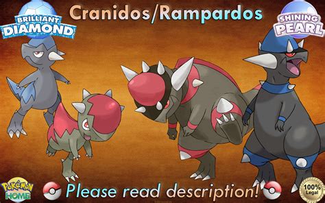 Shiny Cranidos: A Collector's Dream and a Paleontological Treasure