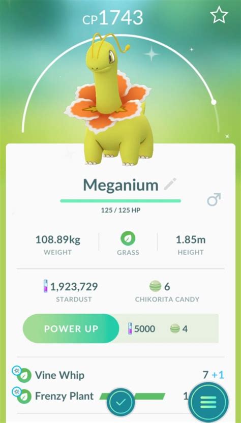 Shiny Meganium: A Rare and Coveted Pokémon