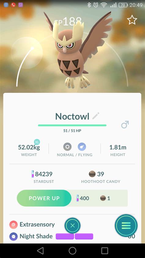 Shiny Noctowl: The Ultimate Guide to Catching and Using This Rare Pokémon