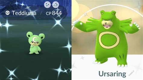 Shiny Teddiursa: A Comprehensive Guide to Finding, Catching, and Evolving the Coveted Pokémon