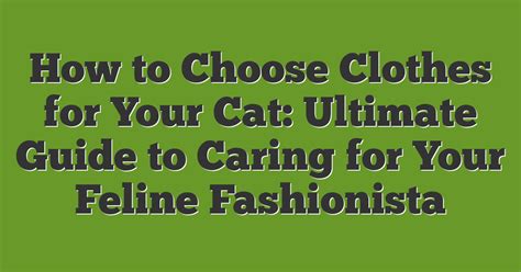 Shirts for Kittens: An In-depth Guide to Choosing the Perfect Shirt for Your Feline Friend