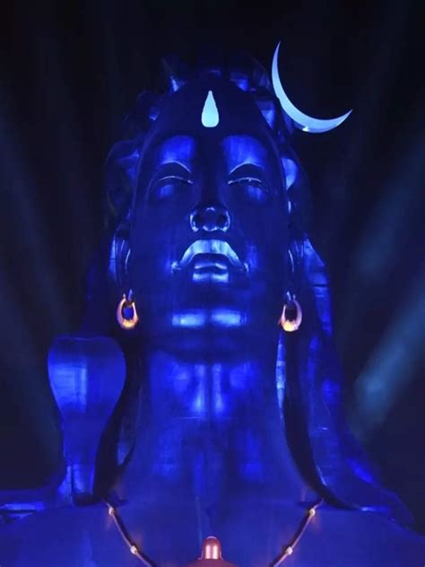 Shiva's Eyes: Unveiling the Secrets of Nature's Sophisticated Surveillance System