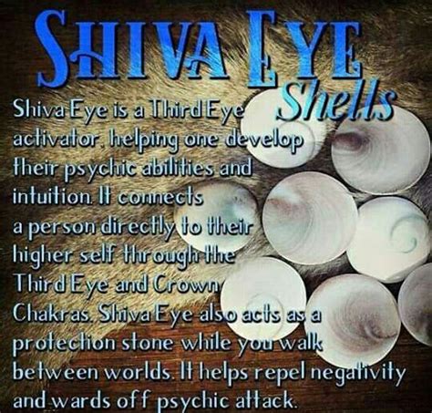 Shiva Eye: The Mystical Gemstone That Reveals Your True Potential